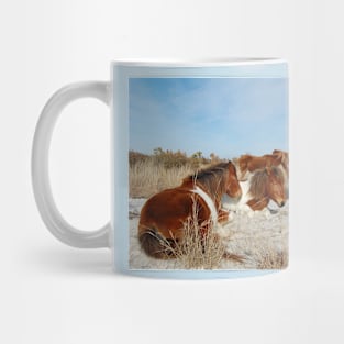 Wild horses, wildlife, gifts, painted horse, Assateague Island, Maryland Mug